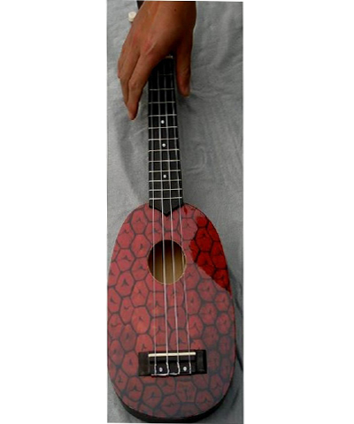 21" professional Ukulele Children Toy guitar wooden guitar hawaii guitar four strings AGUL06