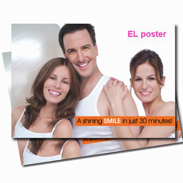 outdoor flashing OEM service advertising el animated poster