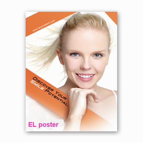 outdoor flashing OEM service advertising el animated poster