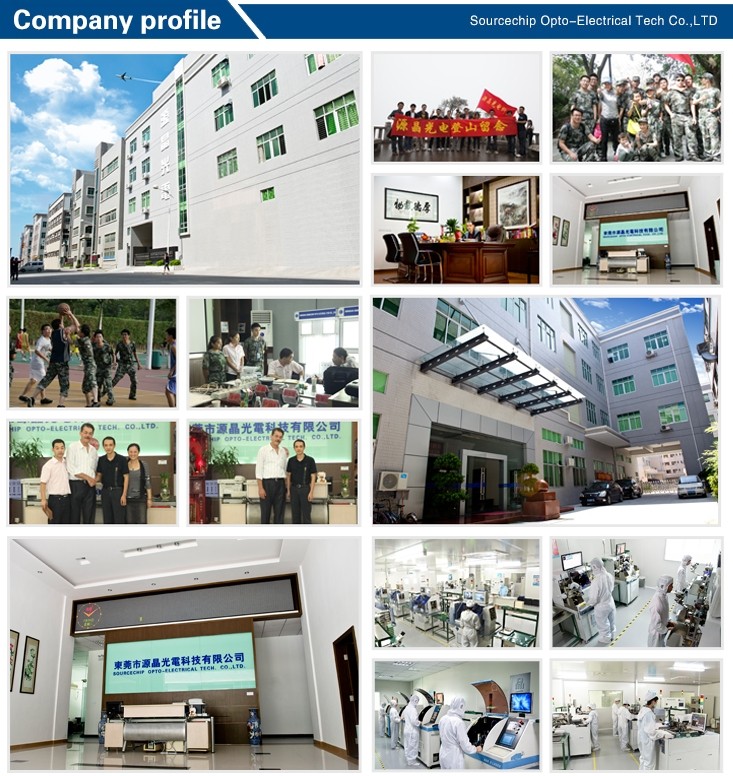 20W COB led ceiling light supplier