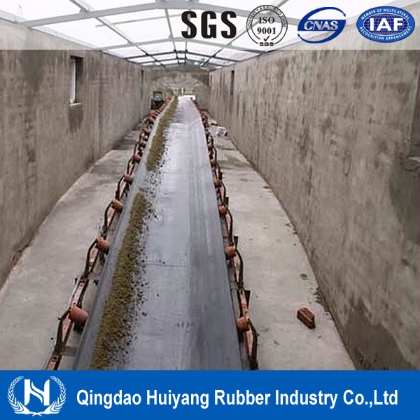 Agricultural products processing oil resistant rubber conveyor belt