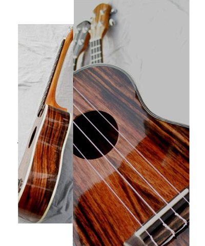 21" concert Ukulele Ebony solidwood four string guitar high quality AGUL19