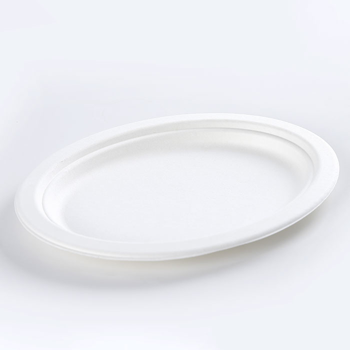 Biodegradable Sugarcane Pulp Party Dinnerware Plate Sugarcane Bagasse Paper Plate Round Disposable Plate dishes