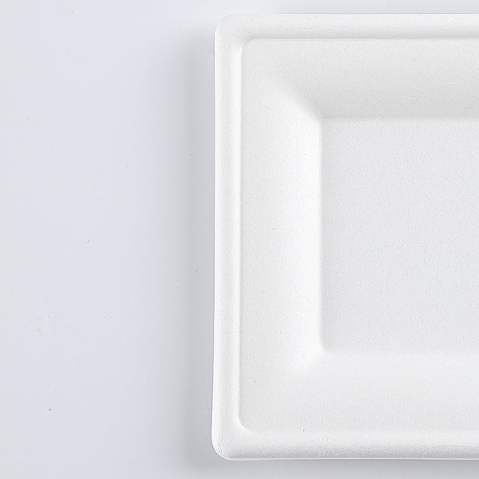 6" Natural Disposable Plates Sugarcane Bagasse Containers Compostable Paper Plate