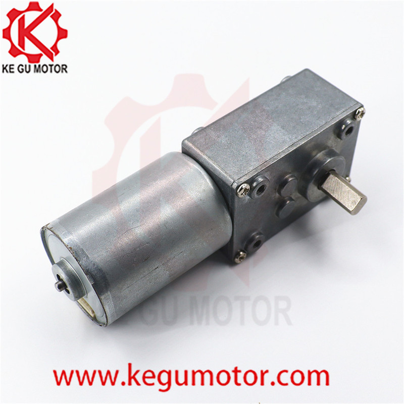 DC 6v 12v 24V Reduction Gearbox 58mm*40mm Diameter Brushless Worm Gear PMDC Motor 10rpm bl3650i