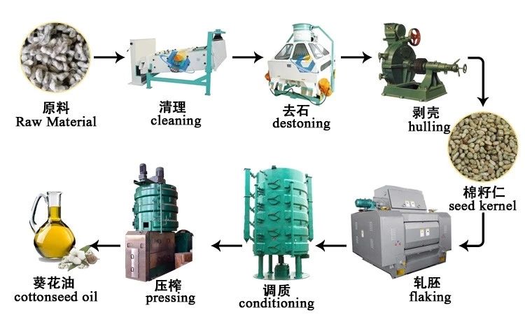 500-600 Kg per hour oil pre-press screw oil pressing extraction line machine
