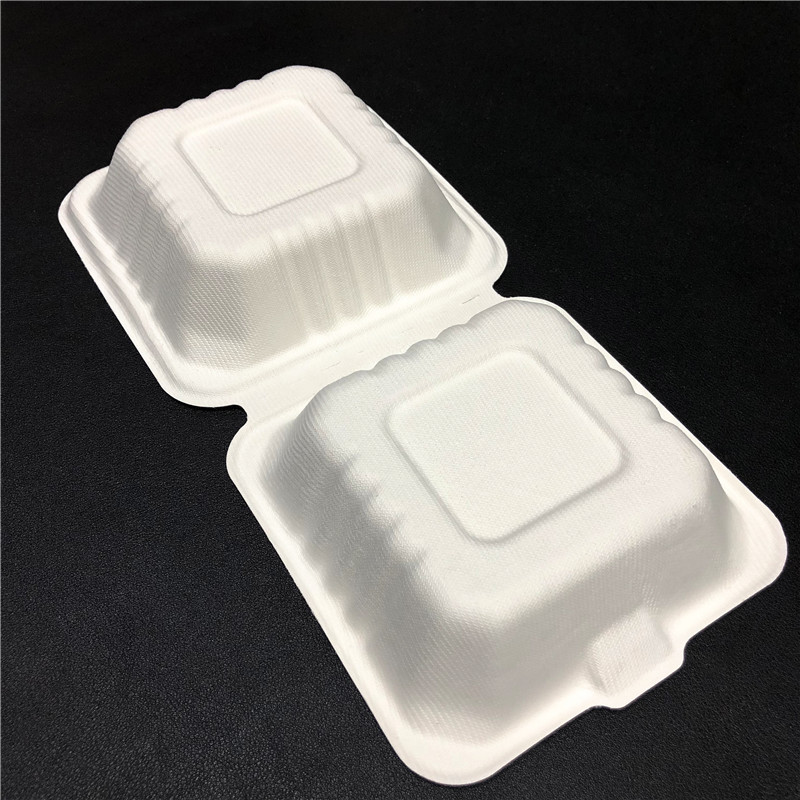 8 inches disposable Sugarcane Bagasse fiber paper clamshell food packaging box