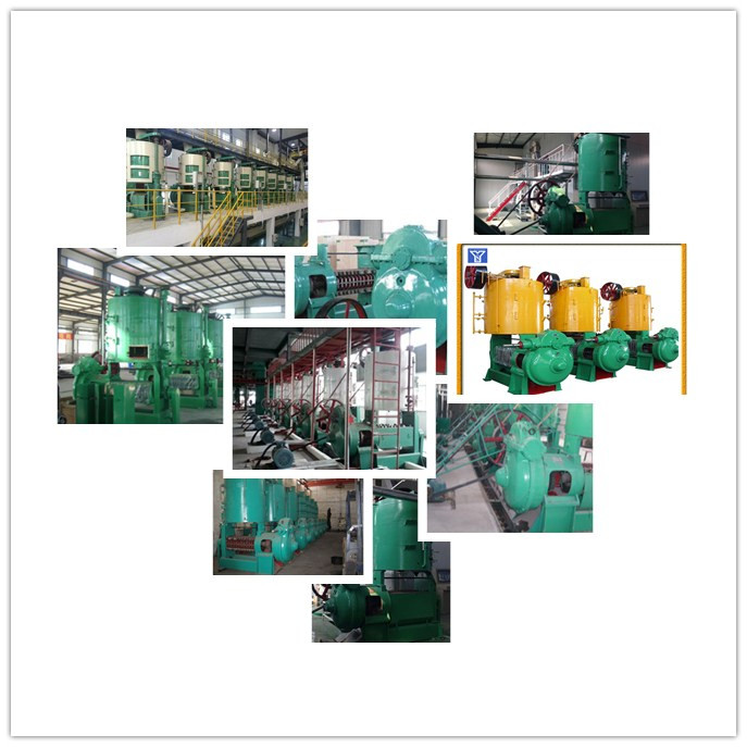 200A-3 Cotton Seed Oil Press Expeller Extraction Machine