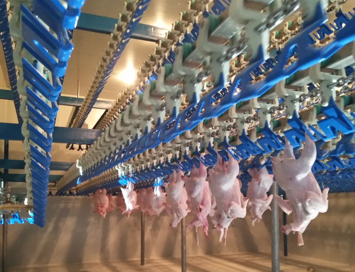 Chicken Cropping machine chicken slaughterhouse abattoir equipment