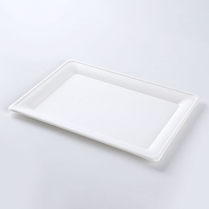 2020 new product oil and water proof biodegradable white rectangular snack plate
