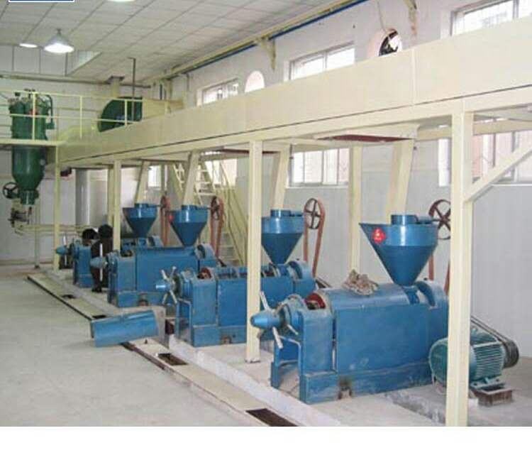 6YL-68 Small Screw Oil Expreller Oil Press