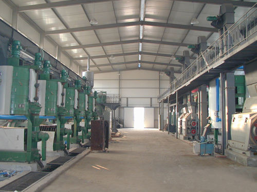 Longer Automatic Screw Sunflower Oil Press Machine/Sunflower Oil Refining Machine/Sunflower Oil Making Machine