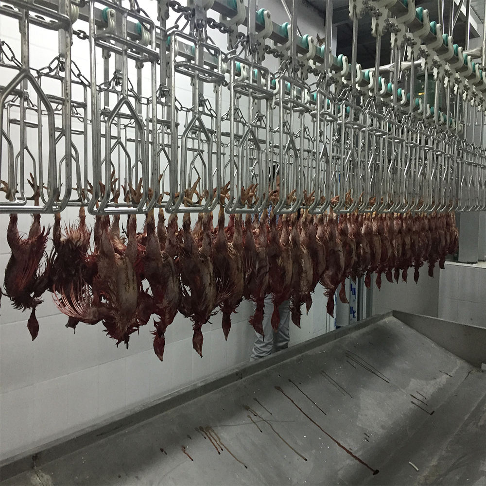 500bph small Chicken slaughterhouse poultry abattoir use slaughter equipment for sale