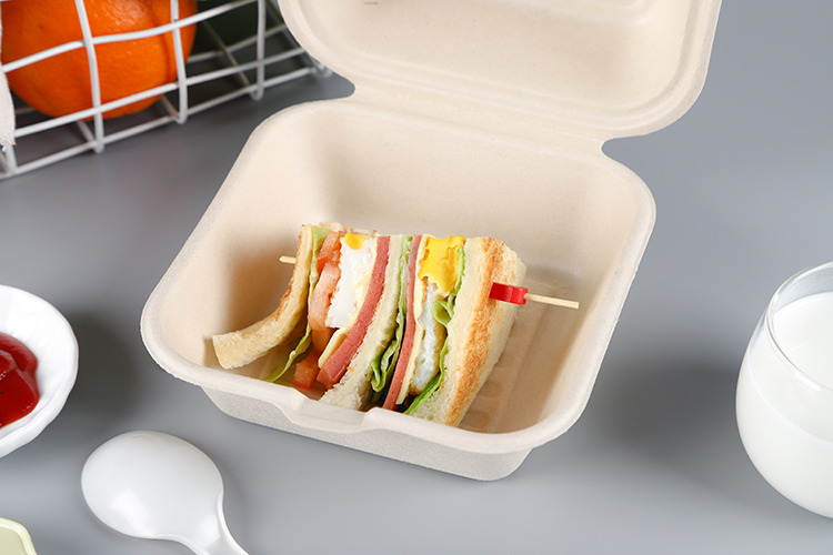 Ok Compostable Renewable Oil and Water Proof Sugarcane Pulp Fast Food Delivery Clamshell Box Cake,pizza Packaging Paperboard