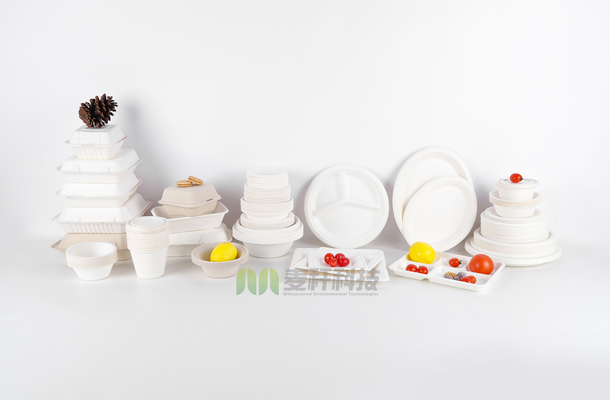 3 parts Round White Dessert Sugarcane Biodegradable sugarcane Disposable Plate