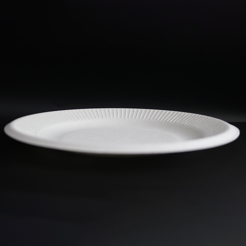 Wholesale Green Bagasse Pulp Food Containers Disposable Plate