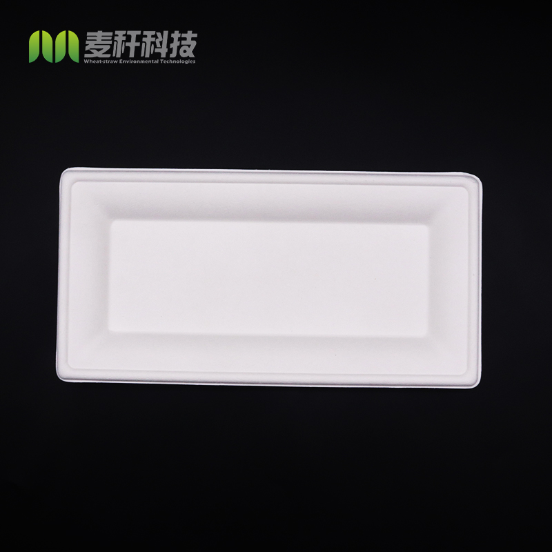 Disposable Biodegradable Sugarcane Bagasse Packing Rectangular Trays Plate Dish Rectangle Food Customized Pattern Engraving 4000