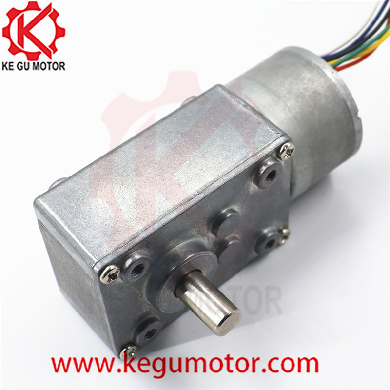 High torque 24V 5300 rpm 40mm worm geabox motor reduction motor with good price bl3630i 9.0kg at load