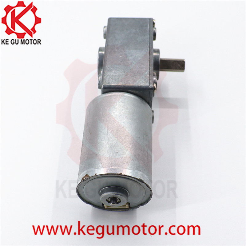 DC 6v 12v 24V Reduction Gearbox 58mm*40mm Diameter Brushless Worm Gear PMDC Motor 10rpm bl3650i
