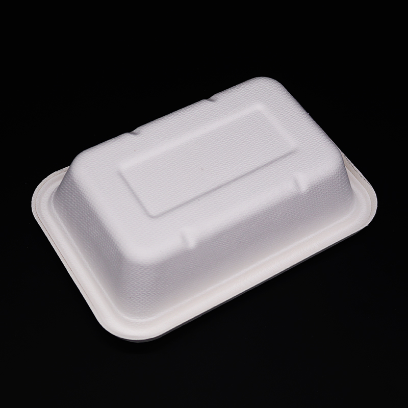 Biodegradable Sugarcane Bagasse Disposable Takeaway Food Tray with Lid