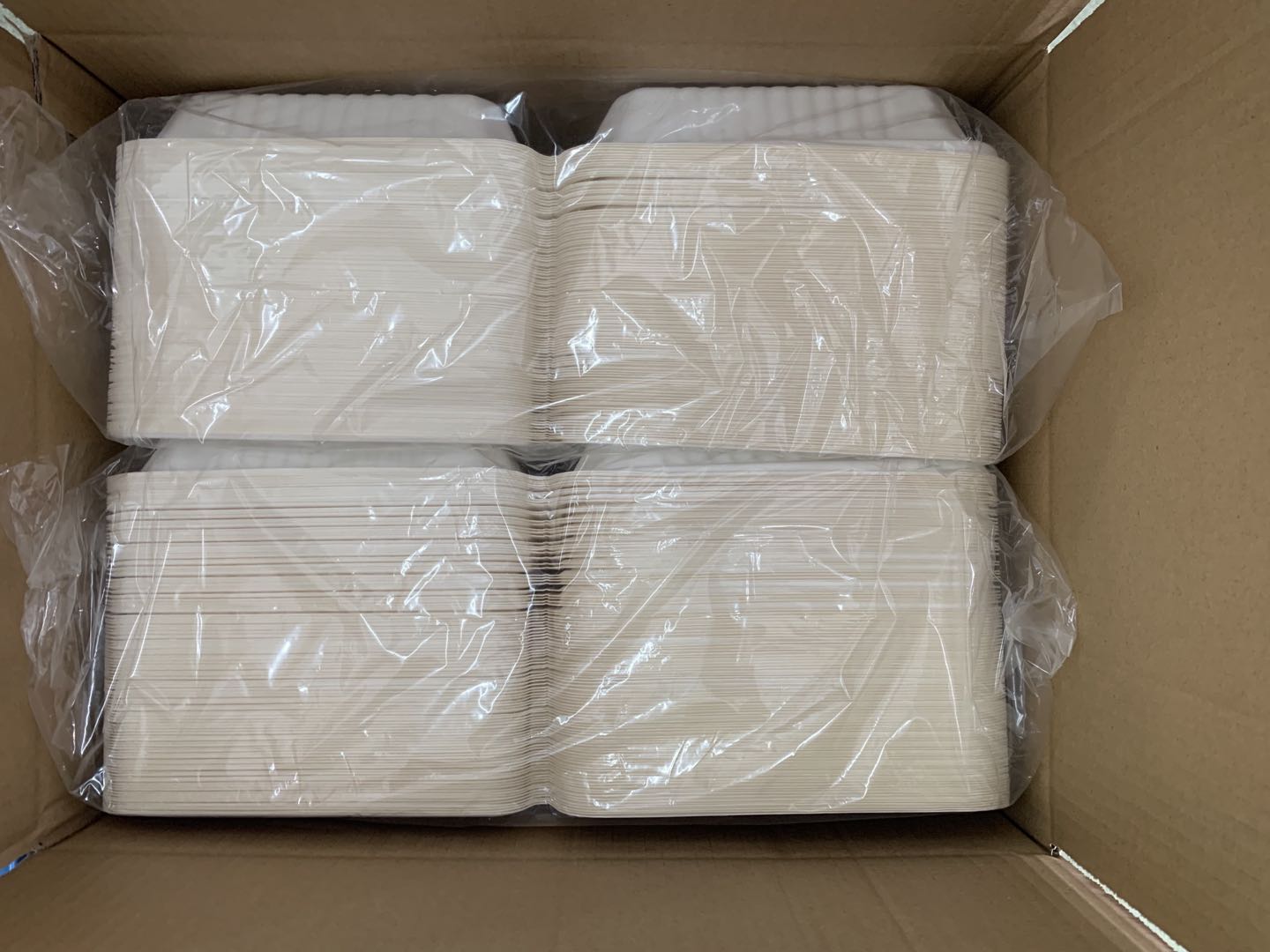 Biodegradable Food Container eco-friendly   box with bagass lid