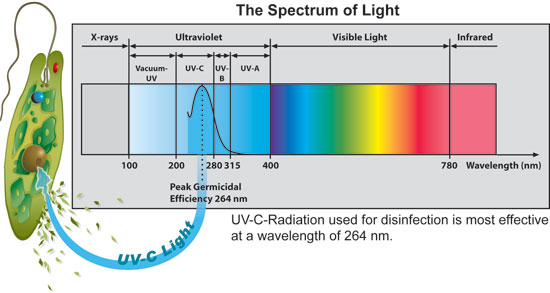8W,submersible uv lamp, Aquarium ultraviolet light disinfection