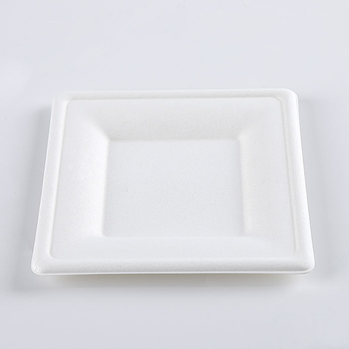 6" Natural Disposable Plates Sugarcane Bagasse Containers Compostable Paper Plate
