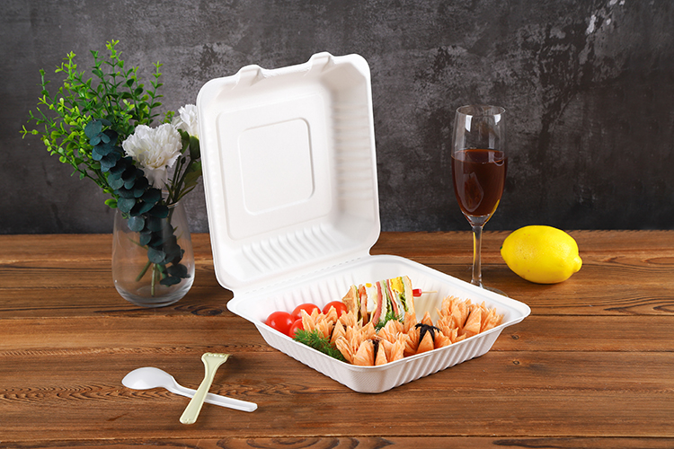 biodegradable catering sugarcane pulp molded paper food packaging