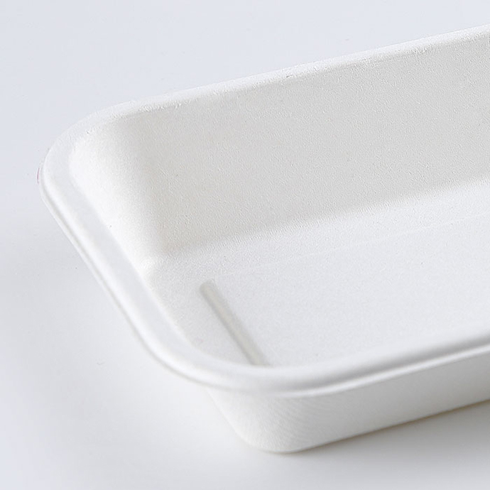 Biodegradable container, Disposable dining box for sugarcane pulp rectangular container
