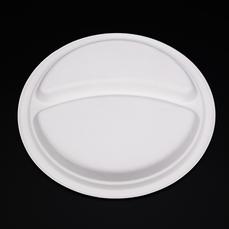 Best Quality Promotional Plates Biodegradable Takeaway Plates Disposable Biodegradable Plate
