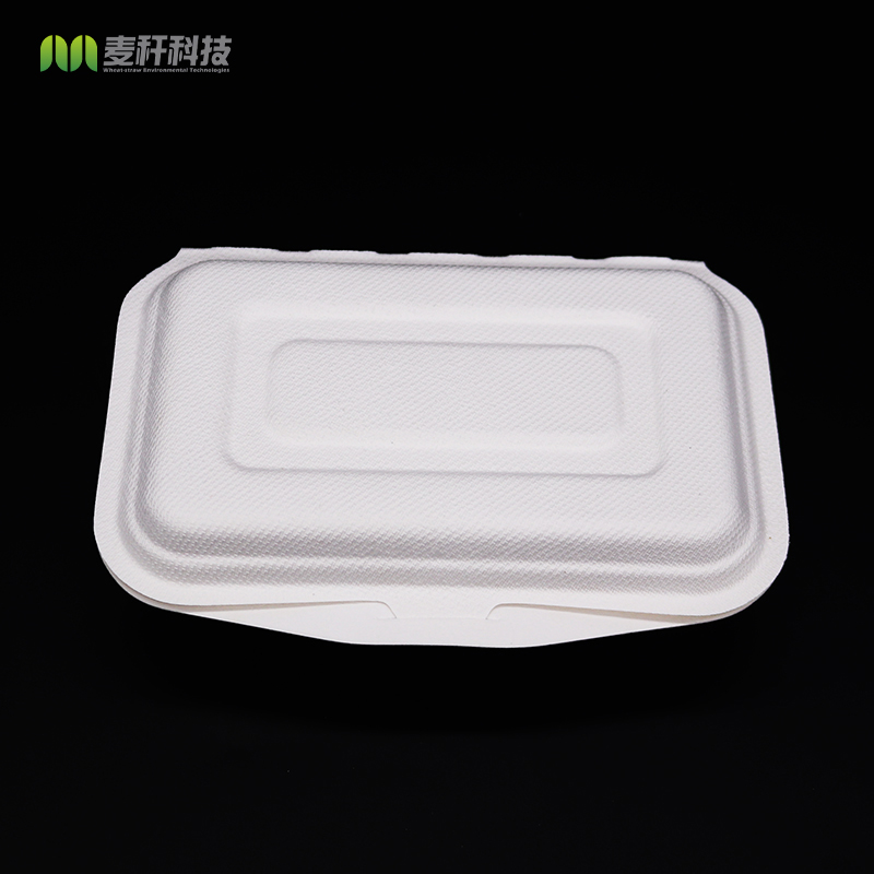 500-650-800-1000ml Biodegradable Disposable Sugarcane Bagasse Lunch Box with lid