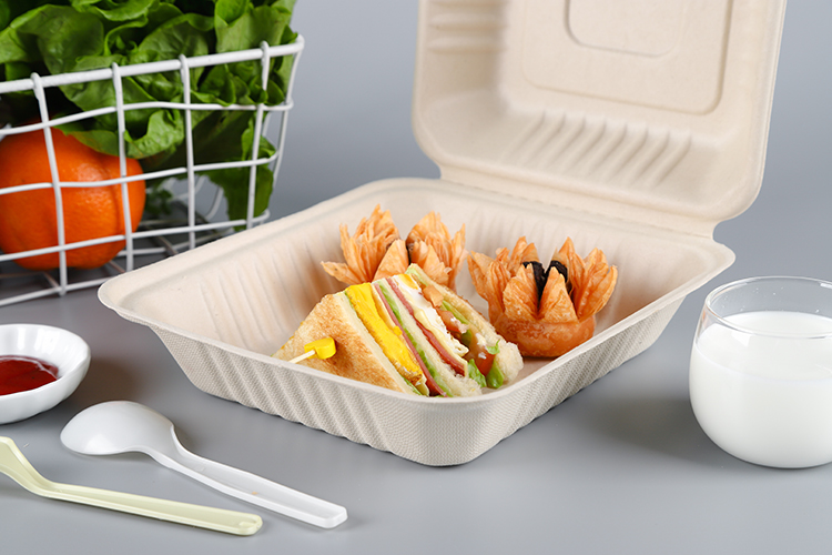 Take Out Food Sugarcane Packaging Shipping Box Biodegradable Clamshell 3 Compartments Disposable Food,food & Beverage Packaging