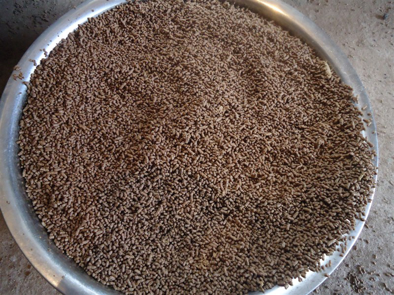 High efficiency Fish food machine/extrusion machine/aquatic feed pellet machine to feed your fish