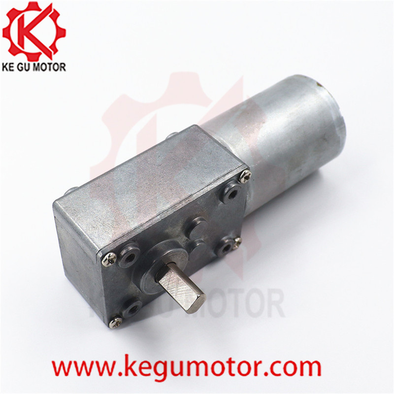 DC 6v 12v 24V Reduction Gearbox 58mm*40mm Diameter Brushless Worm Gear PMDC Motor 10rpm bl3650i