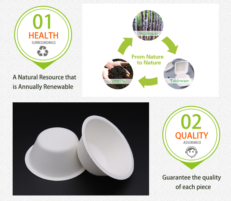Eco-Friendly 100% Compostable Sugarcane/Bagasse Heavy Duty container