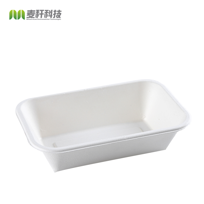 32oz Disposable Sugarcane Snack Sushi Serving Tray Plate Dish Bagasse Tray Disposable Compostable Rectangle Food Plant Pattern