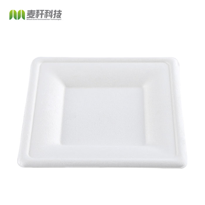 6" Natural Disposable Plates Sugarcane Bagasse Containers Compostable Paper Plate