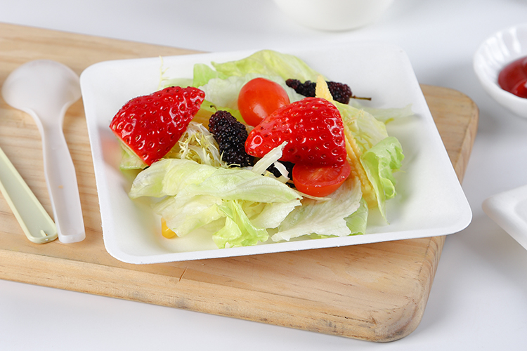 eco friendly box takeaway biodegradable food packaging disposable plates