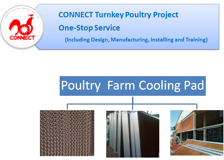 Chicken Shed Poultry Farm Ventilation Cooling PAD