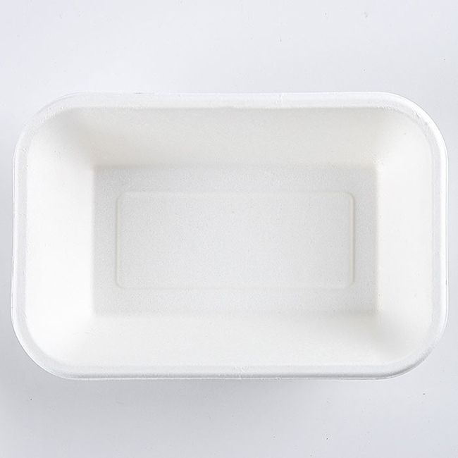 32oz Disposable Sugarcane Snack Sushi Serving Tray Plate Dish Bagasse Tray Disposable Compostable Rectangle Food Plant Pattern