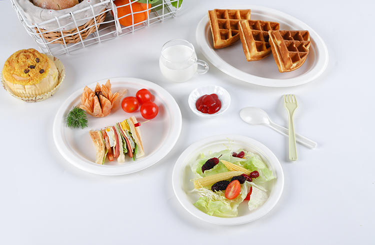 Disposable Dinnerware Set, Compostable Plant Based Cutlery Eco-Friendly Tableware