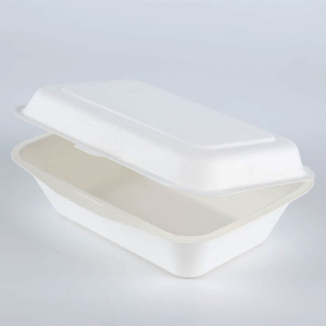 Sugarcane pulp paper packaging burger box container