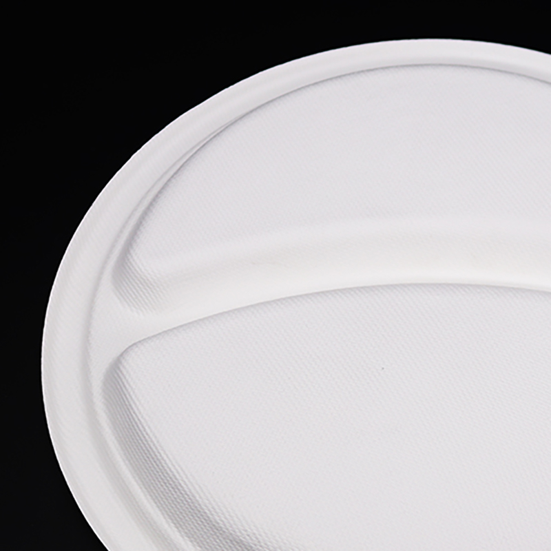 Best Quality Promotional Plates Biodegradable Takeaway Plates Disposable Biodegradable Plate