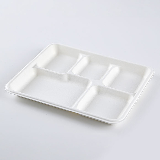 5 section Compostable Dessert Plates Sugarcane/Bagasse and Bamboo Fibre Biodegradable Disposable Paper Plate