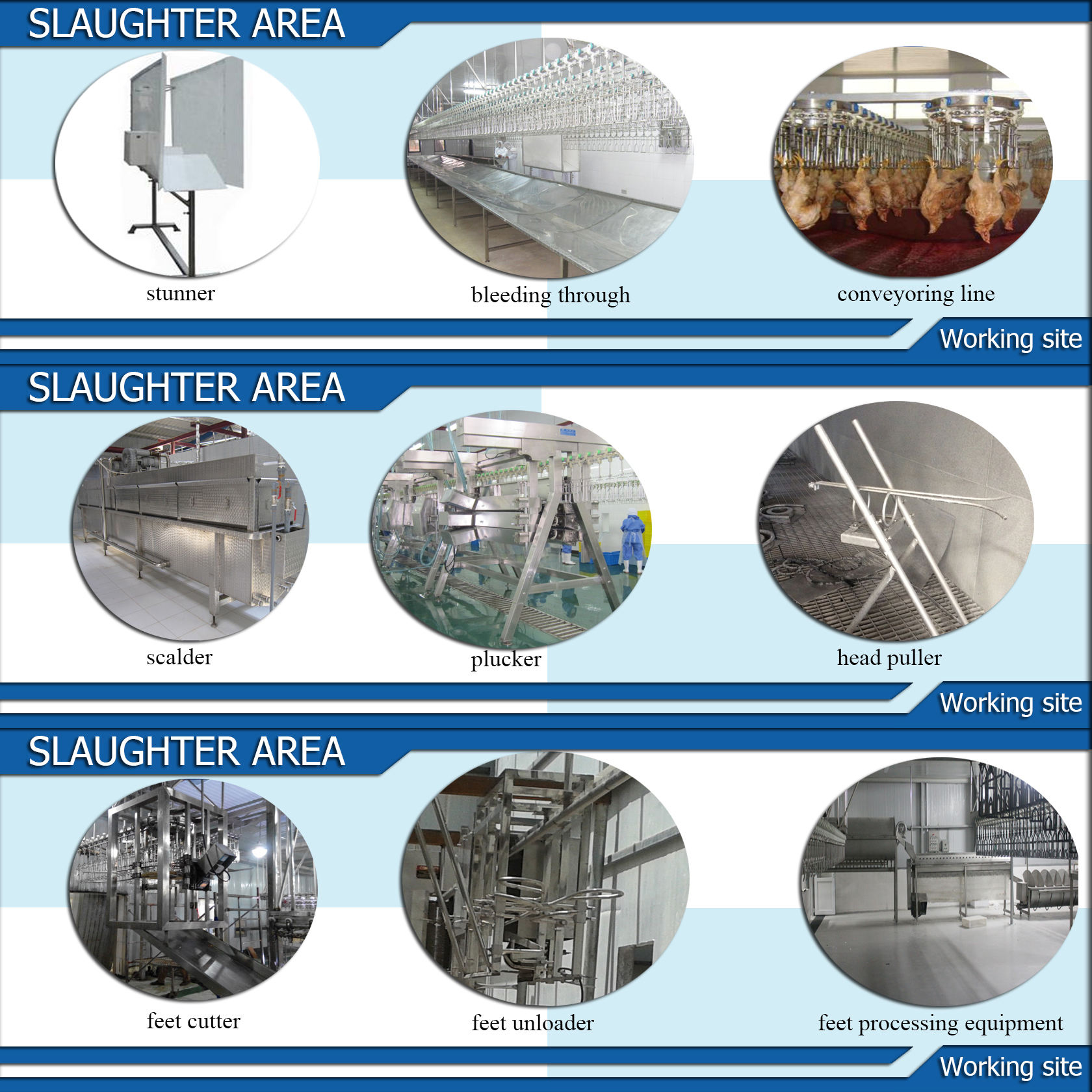 Customized Complete chicen farm turnkey project slaughterhouse processing plant feather and water sperator machinery