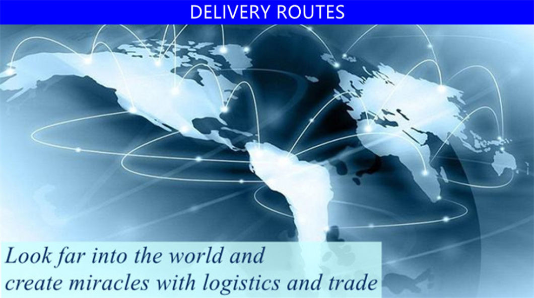 Logistic Service as Sea Freight Forwarder to West Europe Port