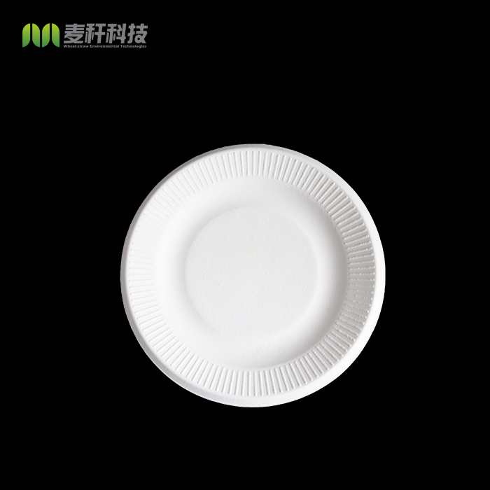 Wholesale Green Bagasse Pulp Food Containers Disposable Plate
