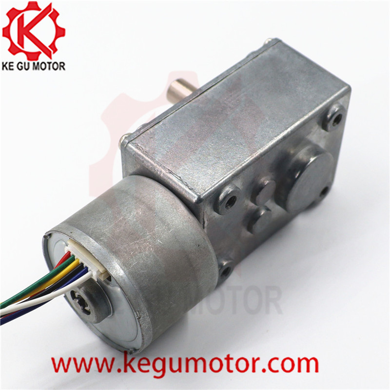 High torque 24V 5300 rpm 40mm worm geabox motor reduction motor with good price bl3630i 9.0kg at load