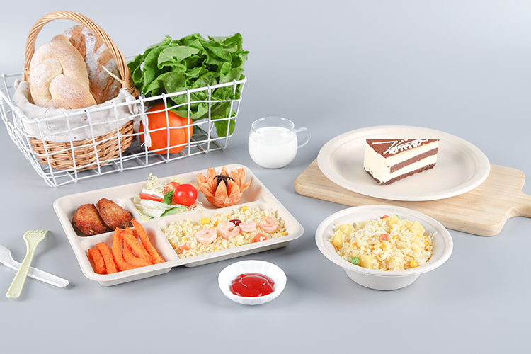 biodegradable tableware Rectangle 5 division meal snack Tray
