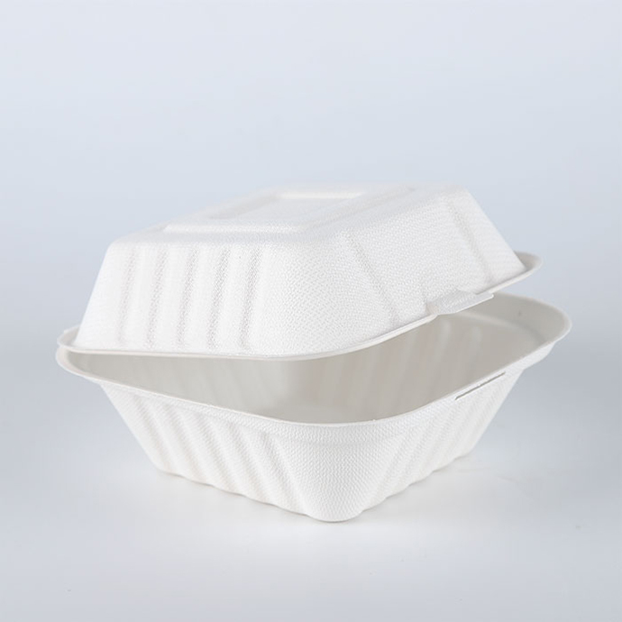 Biodegradable catering Burger takeaway food container box